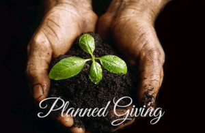 plannedgiving